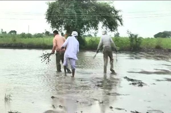 कपाशीचे पीक घ्यायला गेलो तर संपूर्ण शेतीच पाण्याखाली गेली. आता आम्ही जगायचे कसे, आमच्या मुलाबाळांचे शिक्षण कसे करायचे, असा सवाल एका उद्विग्न शेतकऱ्याने केला.  