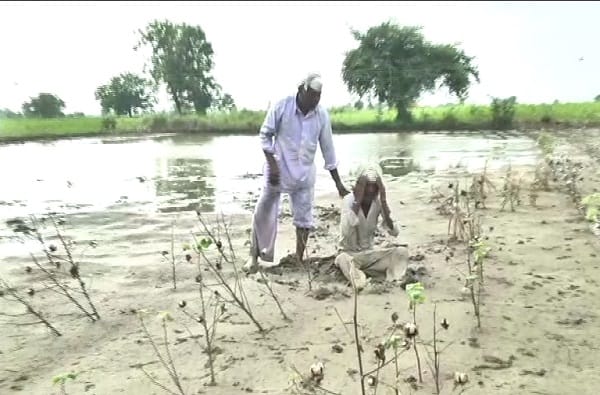 औरंगाबादमध्ये 'टीव्ही 9 मराठी'ने या शेतकऱ्यांशी संवाद साधला तेव्हा त्यांनी कॅमेऱ्यासमोर आपल्या अश्रूंना मोकळी वाट करून दिली. हे विदारक चित्र डोळ्यात अश्रू उभे करणारे आहे.