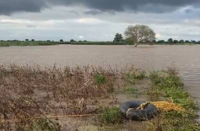 उस्मानाबादमध्ये दोन पाझर तलाव फुटले, नागरिकांचे स्थलांतर, एअर लिफ्टिंगची व्यवस्था