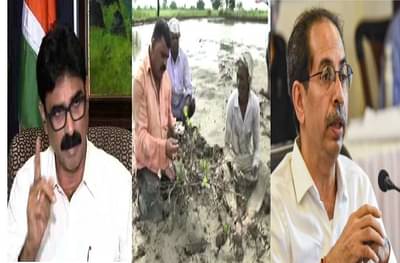 ठाकरे नावावरुन विश्वास उडेल... नांदगावकरांच्या ट्विटला शिवसेनेच्या दादा नेत्याचे उत्तर