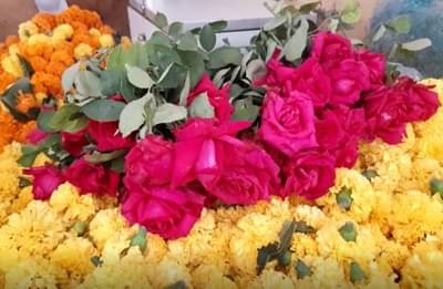 जळगावात फुलांचे दर वाढणार, पावसाच्या सावटामुळे उत्पादक चिंतेत