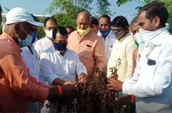 पाहणी नको, तात्काळ मदत द्या...! मंत्री विजय वडेट्टीवारांसमोर शेतकऱ्यांची घोषणाबाजी