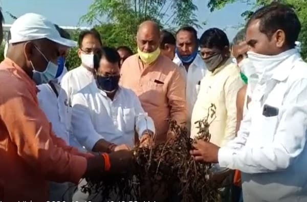 पाहणी नको, तात्काळ मदत द्या...! मंत्री विजय वडेट्टीवारांसमोर शेतकऱ्यांची घोषणाबाजी