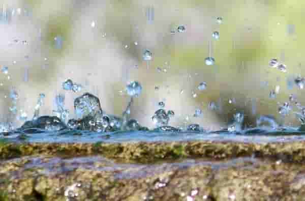 Weather Alert: पुढच्या 24 तासांत राज्यात हलक्या ते मध्यम स्वरुपाचा पाऊस, हवामान खात्याचा इशारा