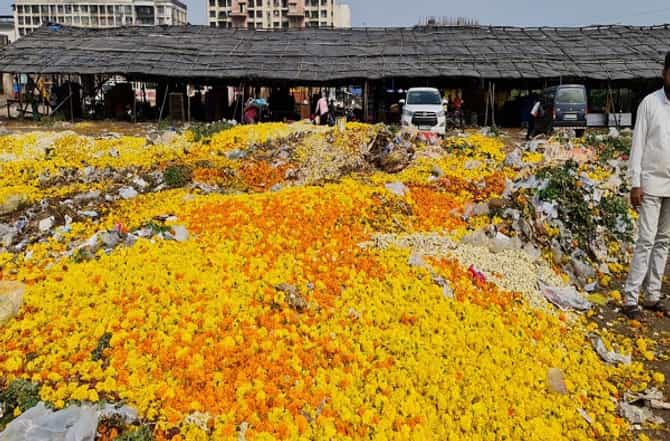 पावसामुळे ऐन नवरात्रीत फुलं खराब, विक्री होत नसल्याने फुलं रस्त्यावर फेकण्याची वेळ