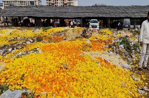 पावसामुळे ऐन नवरात्रीत फुलं खराब, विक्री होत नसल्याने फुलं रस्त्यावर फेकण्याची वेळ