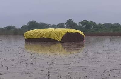 अतिवृष्टीमुळं मराठवाड्यातील जवळपास 25 लाख हेक्टरवरील पिकांचं प्रचंड नुकसान, पंचनामे पूर्ण, विभागीय आयुक्तालयाचा अहवाल