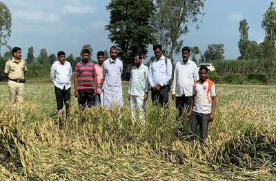 ठाकरे सरकारला जागं करण्यासाठी जागरण-गोंधळ आंदोलन, सदाभाऊंनी कंबर कसली