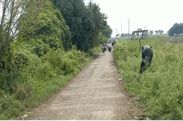राज्यातील प्रमुख नेत्यांकडून सध्या अतिवृष्टीचा फटका बसलेल्या राज्यातील ग्रामीण भागांची पाहणी केली जात आहे. प्रमुख नेत्यांपाठोपाठ आता स्थानिक नेत्यांनीही शेतकऱ्यांना भेटून त्यांची परिस्थिती जाणून घेण्यास सुरुवात केली आहे.