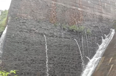 PHOTO : पन्हाळे धरणातून गळती, ग्रामस्थांमध्ये भीतीचे वातावरण