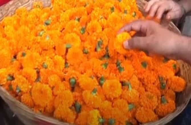 दसऱ्यामुळे मुंबईतील दादरचं मार्केट गजबजलं, फुलांचे दर गगनाला, झेंडू 300 रुपये किलो