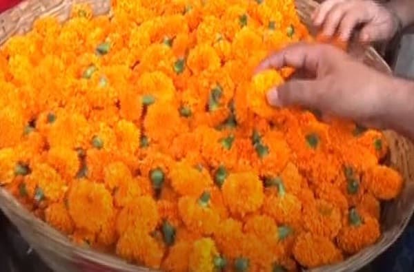 दसऱ्यामुळे मुंबईतील दादरचं मार्केट गजबजलं, फुलांचे दर गगनाला, झेंडू 300 रुपये किलो