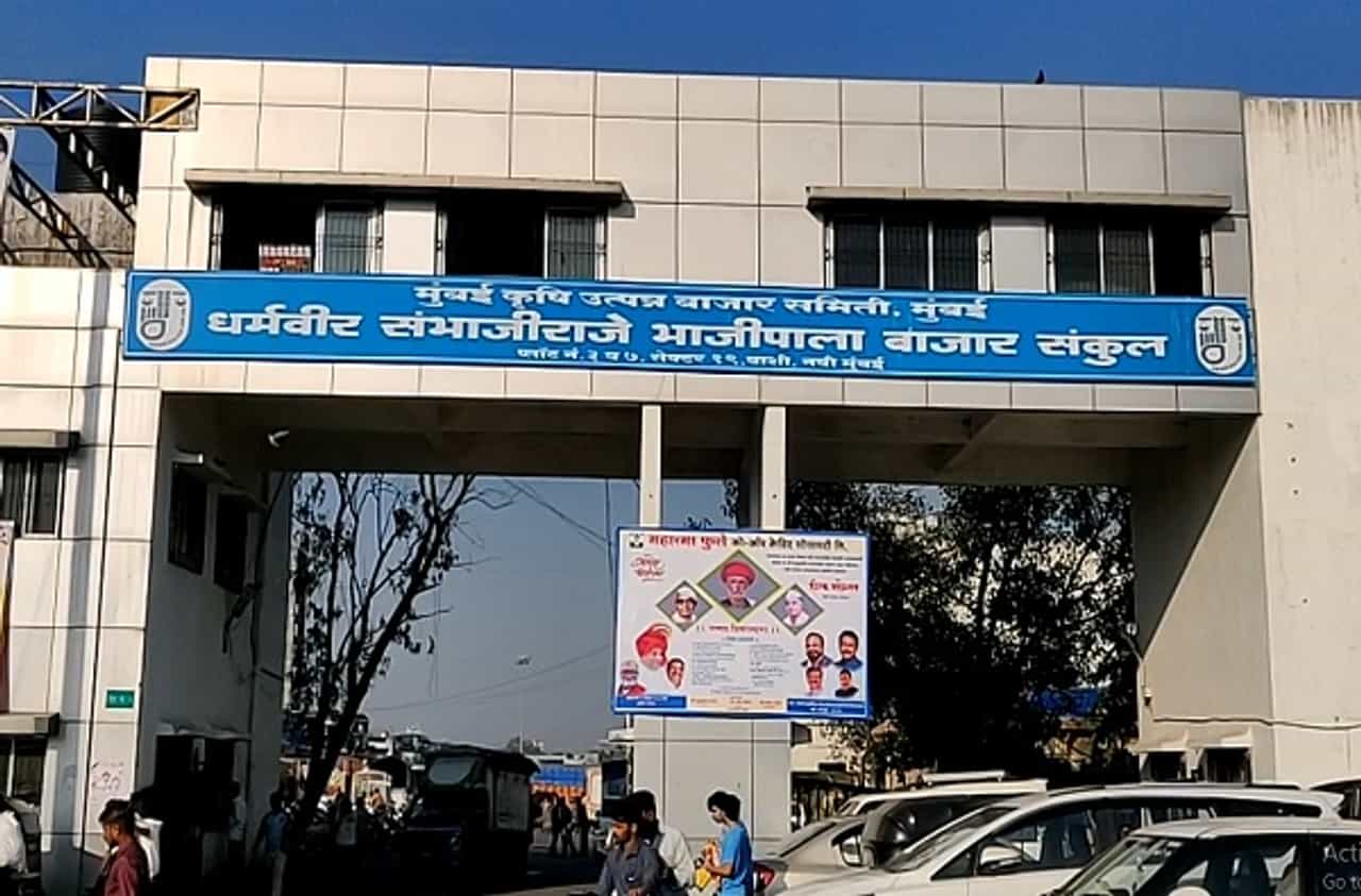 नवी मुंबई बाजार समितीमध्ये मोठ्या प्रमाणावर भाजीपाल्याची आवक, दरामंध्ये घसरण