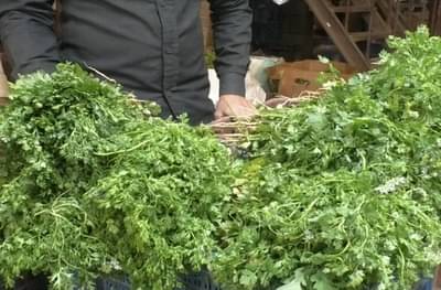 भाजीपाला मार्केटमध्ये भाज्यांची आवक वाढली, कोथिंबीरची जुडी केवळ...