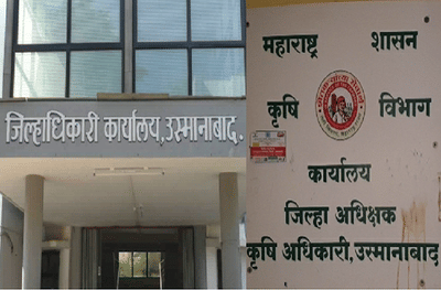 उस्मानाबाद तालुक्यात फळबागांचे शून्य टक्के नुकसान, जिल्हा प्रशासनाचा अजब पंचनामा