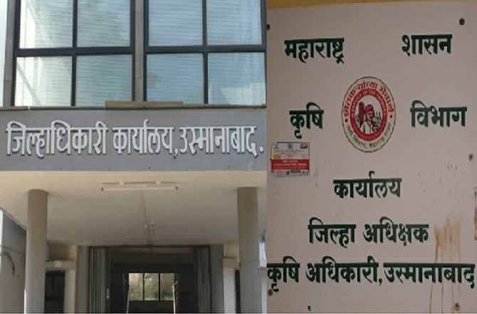 उस्मानाबाद तालुक्यात फळबागांचे शून्य टक्के नुकसान, जिल्हा प्रशासनाचा अजब पंचनामा