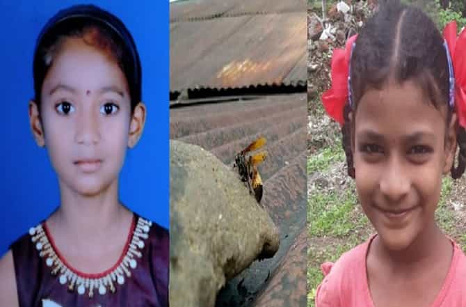 साताऱ्यात टेरेसवर खेळणाऱ्या चिमुकल्यांवर गांधील माश्यांचा हल्ला, दोन मुलींचा मृत्यू