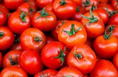 टोमॅटो आरोग्यासाठीच नव्हेतर त्वचेसाठी देखील फायदेशीर !