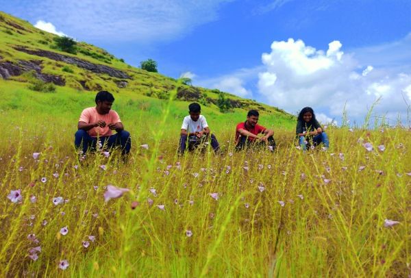 Flowers of Sahyadri Balaghat Harishchandra Range of Hill Deogaon Sangamner