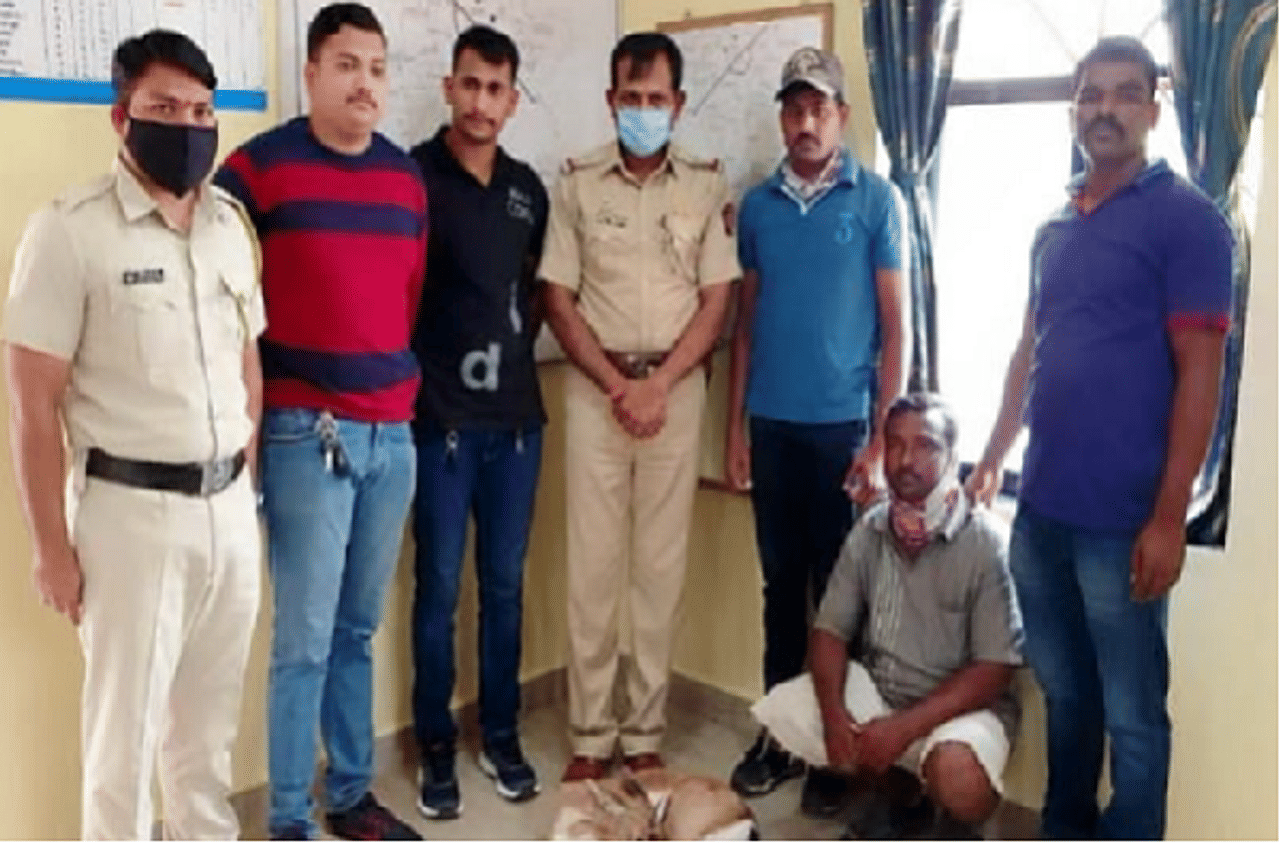 हरणाची कत्तल करण्यापूर्वी शिकारी ताब्यात, इंदापूर पोलिसांची कारवाई