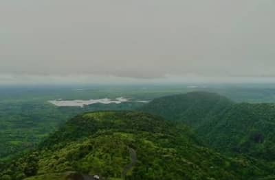 SPECIAL REPORT | मेळघाट व्याघ्र प्रकल्पात मानव आणि वाघांमध्ये संघर्ष नाही, तर आपुलकीचं नातं!