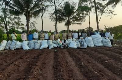 सांगलीत 52 लाखांचा गांजा जप्त, जत पोलिसांची मोठी कारवाई