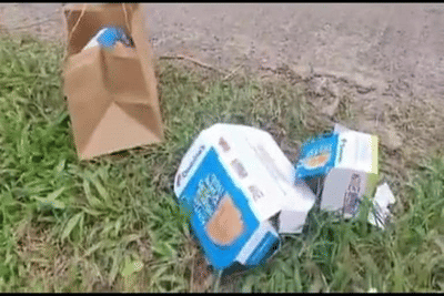 रस्त्यावर पिझ्झाचा बॉक्स फेकणे पडले महागात; 80 किलोमीटर मागे जाऊन कचरा उचलण्याची वेळ