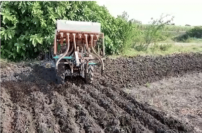 दु:ख विसरुन बळीराजा पुन्हा सरसावला; परभणीत रब्बी हंगामातील पेरणीला सुरुवात