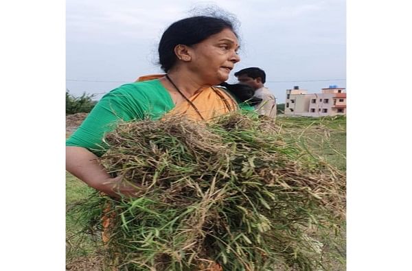 मुलगा कुठल्याही क्षेत्रात असला तरी त्याला आईची साथ असतेच. असंच उदाहरण पवार कुटुंबियातून समोर आलं आहे.