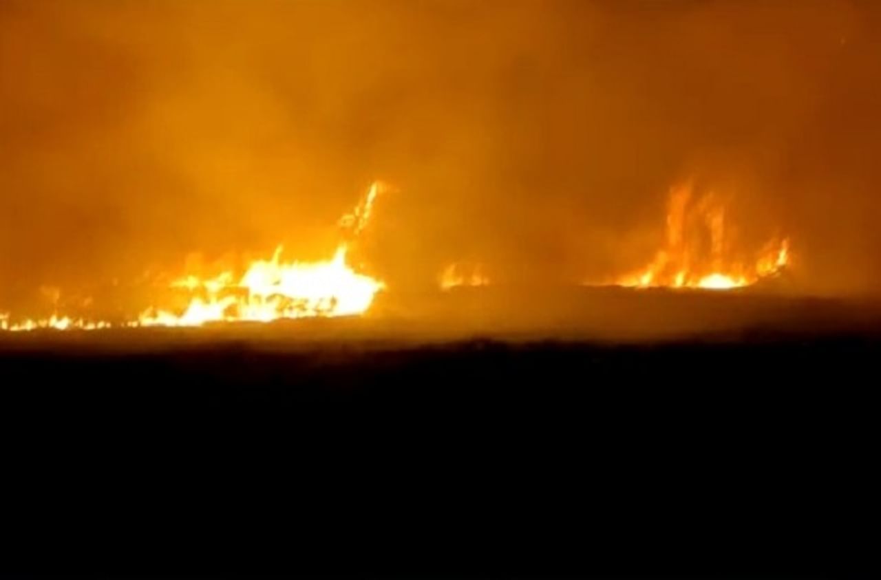 पंढरपूर तालुक्यातील शिरढोण येथे शॉर्ट सर्किटमुळे लागलेल्या आगीत जवळपास 50 एकर ऊस जळाला. 