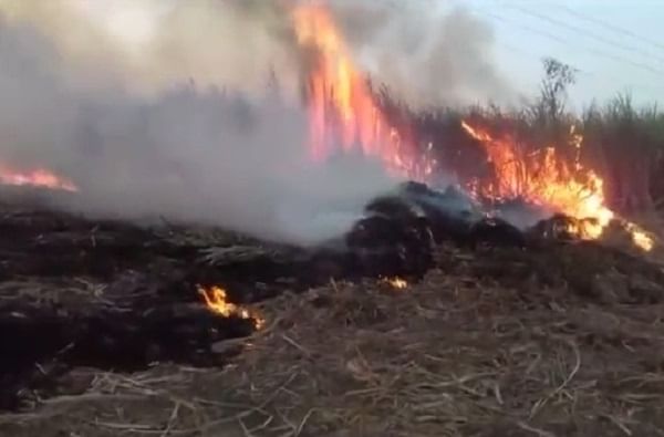 आग का लागली याचं कारण स्पष्ट झालेलं नसलं तरी आग शॉर्टसर्किटमुळे लागल्याचे शेतकऱ्यांचे म्हणणे आहे. 
