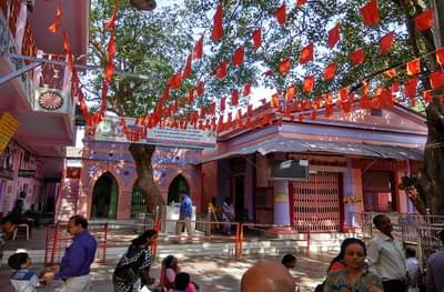 स्वामी समर्थांच्या दर्शनाने भाविकांच्या डोळ्यात आनंदाश्रू! दिवाळी पाडव्याच्या मुहूर्तावर भक्तांची मोठी गर्दी