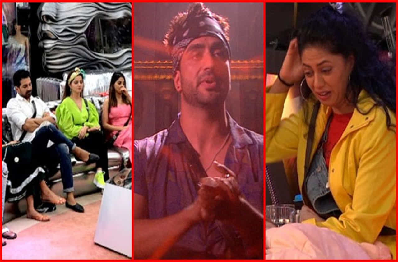 Bigg Boss 14 | कर्णधार अली गोनीवर मोठी जबाबदारी, नॉमिनेशन प्रक्रियेत ‘हे’ स्पर्धक अडकणार!