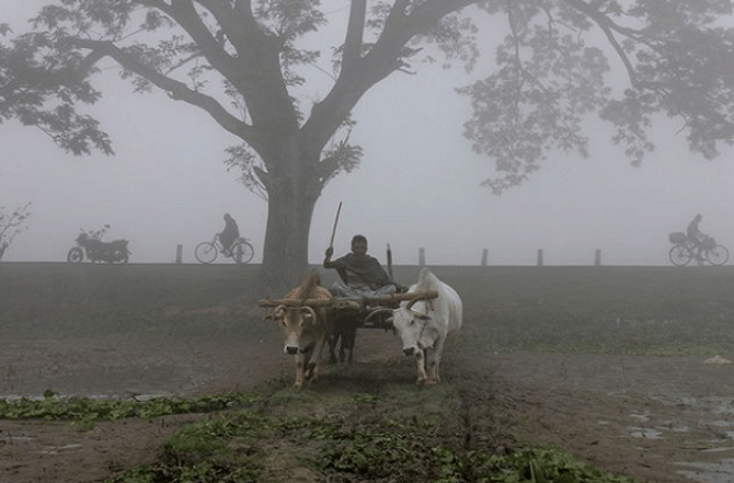 Weather Update: पुढच्या आठवड्यापासून महाराष्ट्र गारठणार, हवामान खात्याचा इशारा