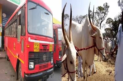 सोलापूर एसटीला मोठा दिलासा, प्रवासी उत्पन्नात राज्यात चौथा क्रमांक, तर कार्तिक यात्रेतील खिलार जनावरांचा बाजार रद्द