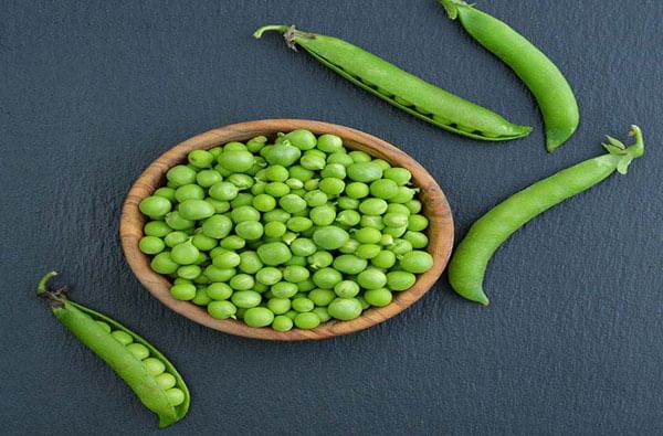 Food | थंडीतही शरीरासाठी लाभदायक, व्हिटामिन्सयुक्त मटार खाण्याचे ‘हिवाळी’ फायदे Food | थंडीतही शरीरासाठी लाभदायक, व्हिटामिन्सयुक्त मटार खाण्याचे ‘हिवाळी’ फायदे