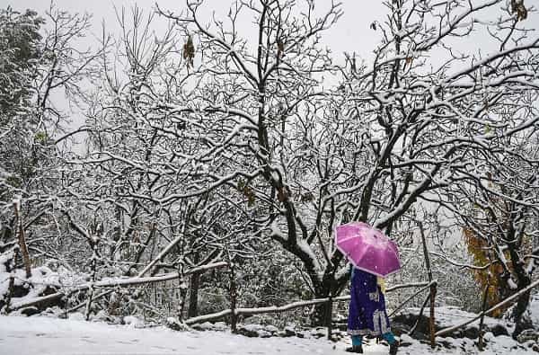 अनलॉकनंतर आता प्रत्येक जण बाहेर पडण्याच्या तयारीत आहे. कुठे फिरायला जाण्याचा विचार करत असाल तर हे फोटो बघून तुमचं चित्त जागेवर राहणार नाही हे खरं आहे.