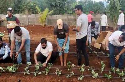 एका दाण्याचे शंभर दाणे करण्याची ताकद फक्त शेतीत, मंत्री एकनाथ शिंदे स्ट्रॉबेरीच्या शेतात