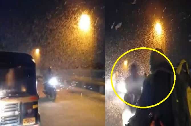 किड्यांचा मारा चुकवताना विचित्र अपघात, सांगलीतील आयर्विन पुलावर किड्यांचा भडिमार