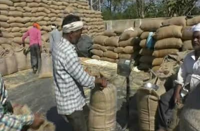 वनहक्क पट्ट्यांच्या जमिनींच्या सातबाऱ्यावर सरकार असा उल्लेख, शेतकऱ्यांना धान्य व्यापाऱ्यांना कमी भावात विकण्याची वेळ