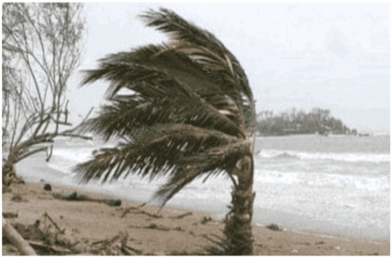 Cyclone Burevi : निवारनंतर केरळ-तामिळनाडूला बुरेवी चक्रीवादळाचा धोका, पंतप्रधान आणि गृहमंत्र्यांकडून मदतीचे आश्वासन