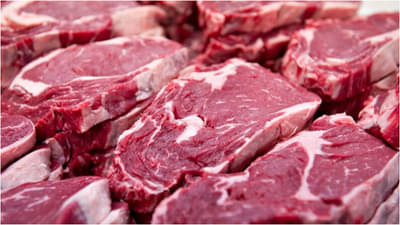 सिंगापूरमध्ये प्रयोगशाळेत तयार झालेल्या मांसाच्या विक्रीला मान्यता, कशी असणार चव?