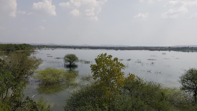 साताऱ्यातील मायणी पक्षी अभयारण्याचा राखीव वनक्षेत्रात समावेश