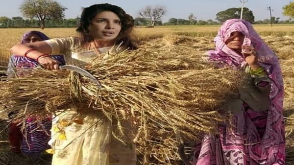 Priyanka Chopra | शेतकरी आंदोलनावर ट्वीट केल्यानंतर प्रियंका चोप्रा ट्रोल