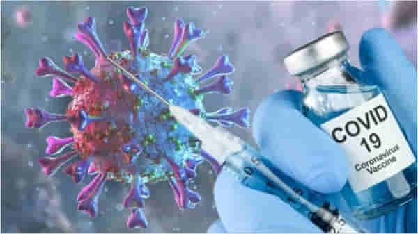 कोरोनाची लस घेतल्यानंतर अॅलर्जी?; लस कुणी घ्यावी? कुणी घेऊ नये?