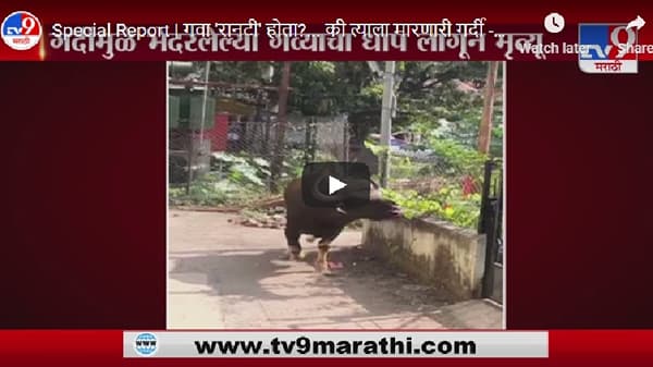 Special Report | गवा रानटी होता?... की त्याला मारणारी गर्दी