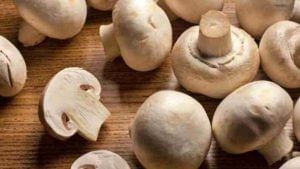 Mushroom Benefits: वजन घटवायचंय? मग मशरुम ट्राय करता?