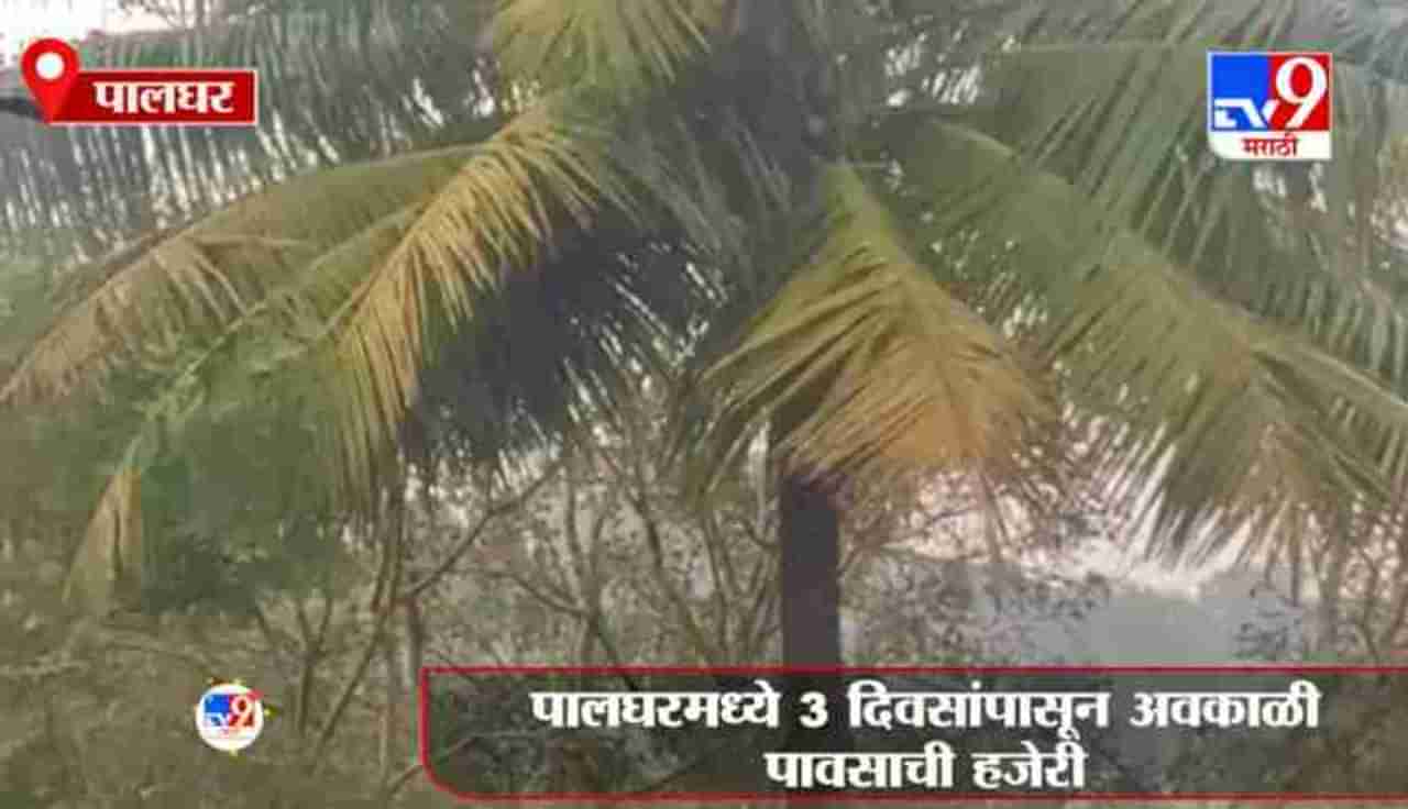 Palghar | पालघरमध्ये 3 दिवसांपासून अवकाळी पावसाची हजेरी