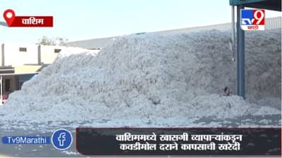 Washim | खासगी व्यापाऱ्यांकडून कवडीमोल दराने कापसाची खरेदी, शेतकऱ्यांसाठी शासकीय खरेदी केंद्र सुरु