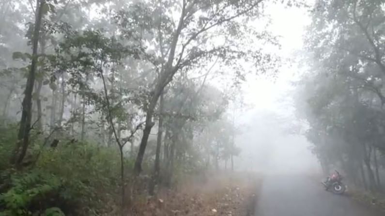 Nashik| जीवघेण्या थंडीने गारठून 16 जनावरांचा मृत्यू; सैरभर शेतकऱ्याचा रानातच टाहो! Nashik| जीवघेण्या थंडीने गारठून 16 जनावरांचा मृत्यू; सैरभर शेतकऱ्याचा रानातच टाहो!